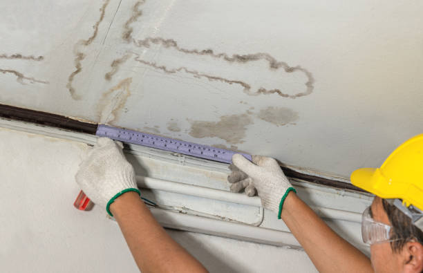 Reliable Basement Water Removal contractor in Marion, WI by Water Damage Irwin